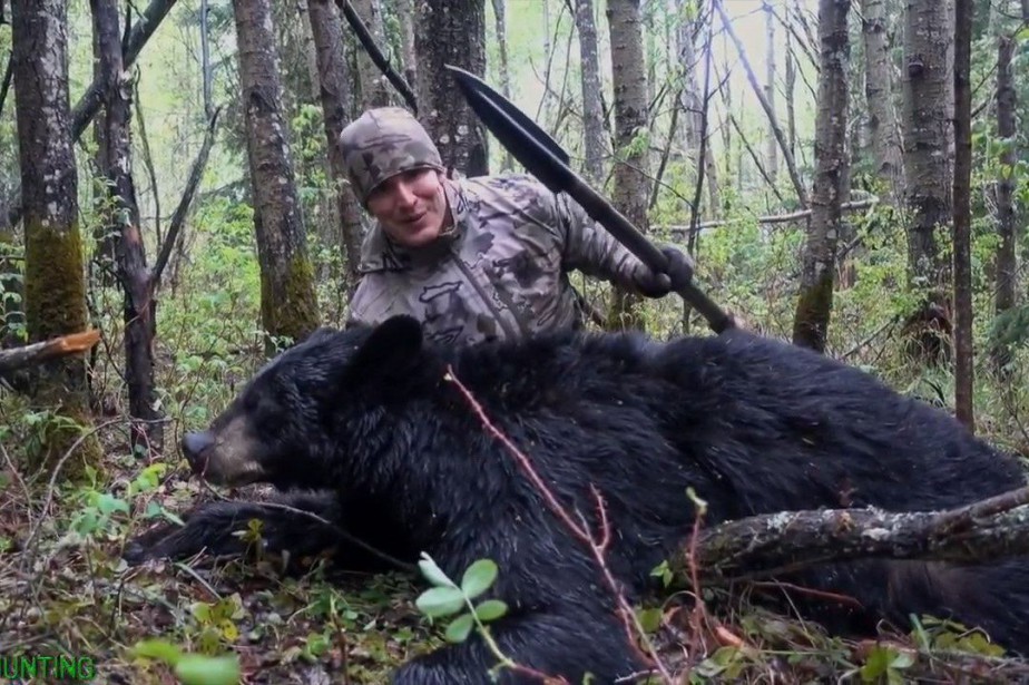 Ours