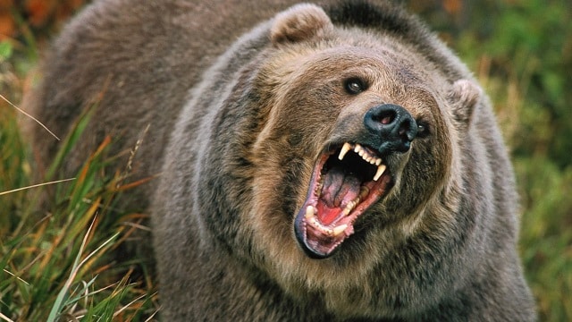 Ours