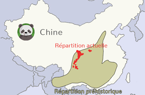 Habitat Panda