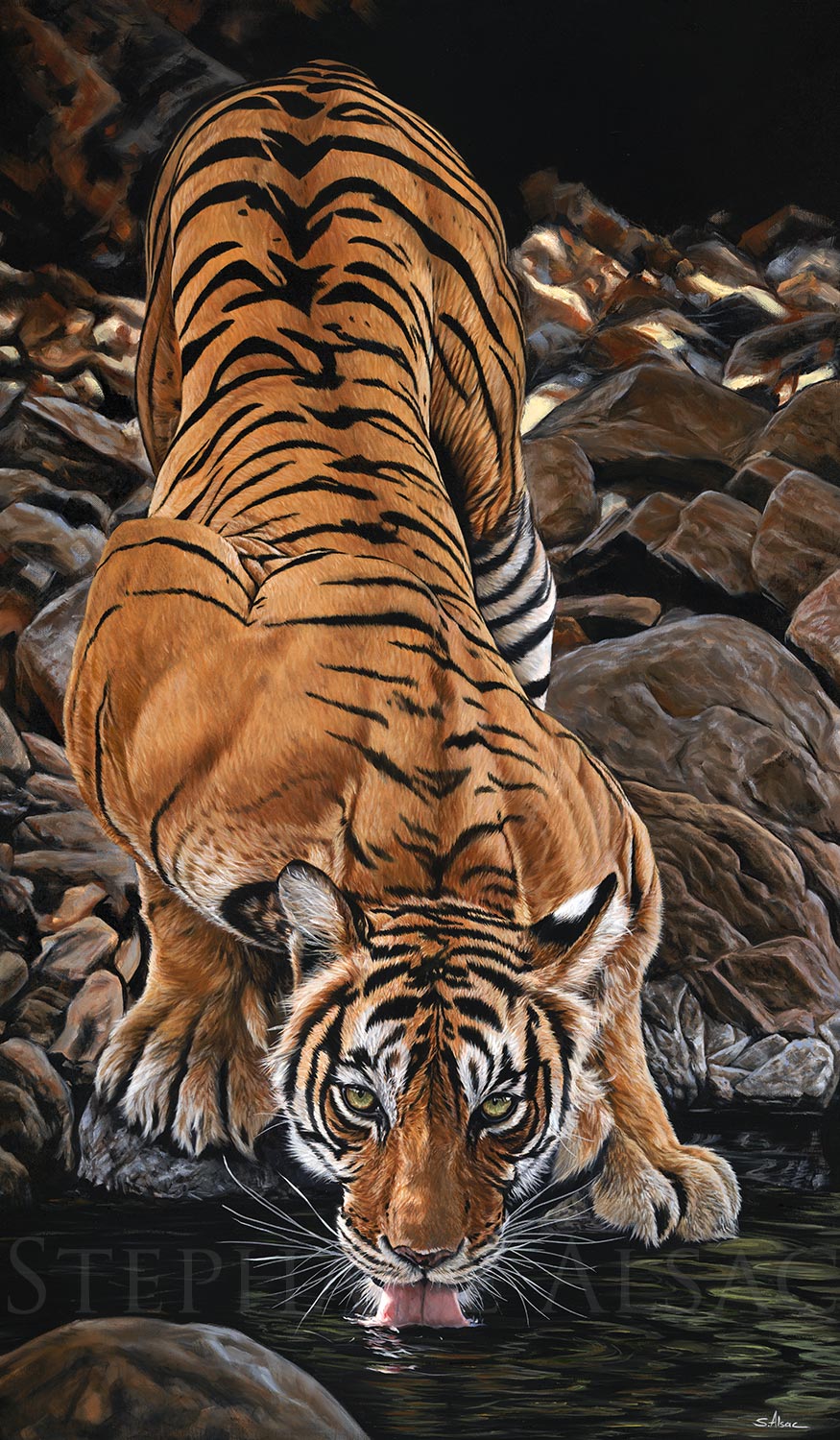 Tigre